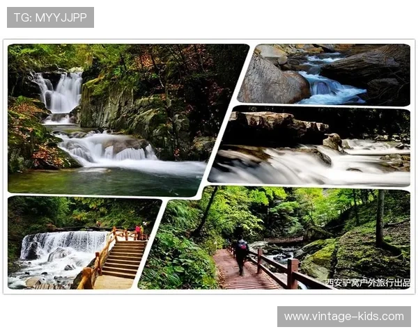 南宫注册入口官方官方公告，解答用户关于注册流程和账号安全的常见问题