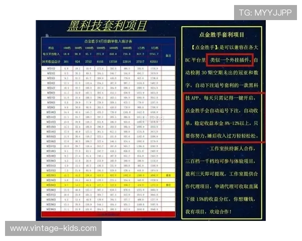 掌握百家乐旁观下注策略实现稳健盈利的全面指南